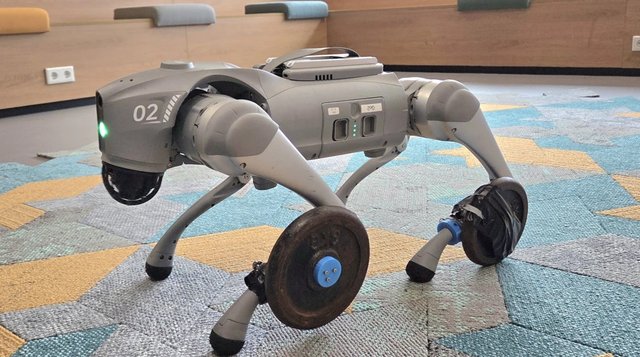 Go2 robot dog carrying weight plates as payload